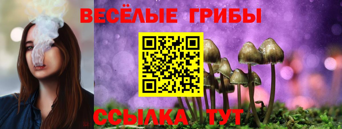 Псилоцибиновые грибы мухоморы  закладки  Севастополь  Галлюциногенные грибы GOLDEN TEACHER  Вход с VPN 